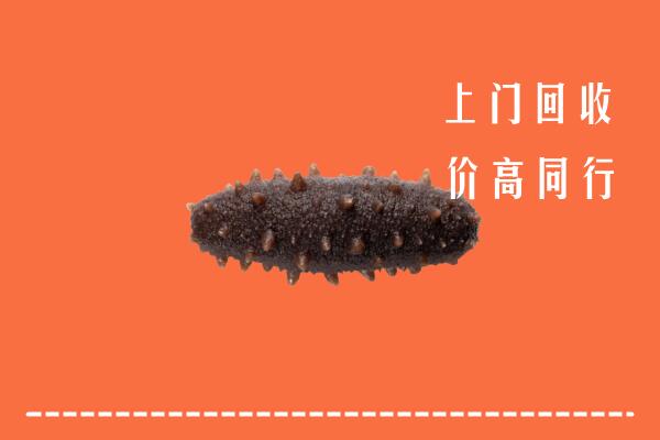 高价求购：绍兴回收海参